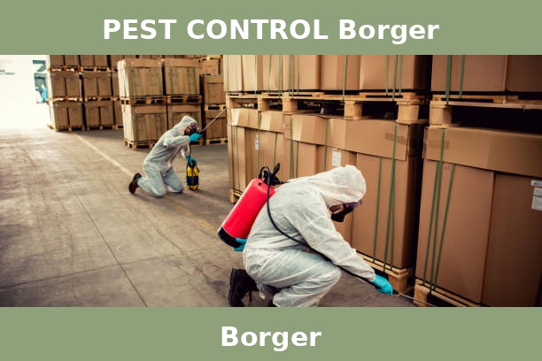 PEST CONTROL Borger